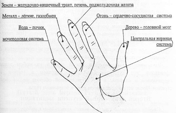 Что означает пальчики. Пальцы и элементы. Схема пальцев на руке. Энергетические каналы пальцев рук. Энергетические каналы на ладонях.